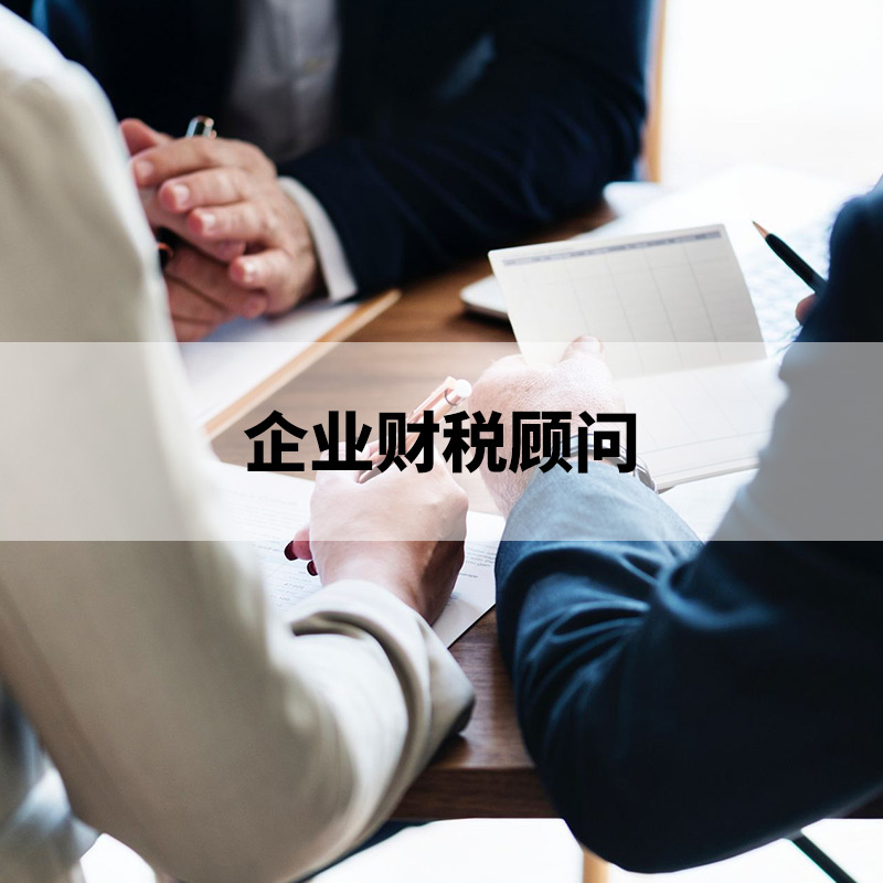 企業(yè)財(cái)稅顧問(wèn)
